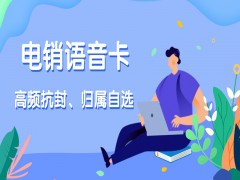 杭州電銷語(yǔ)音卡代理