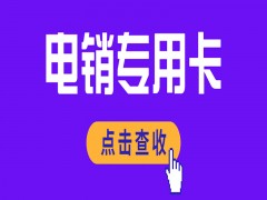 濟南語音卡